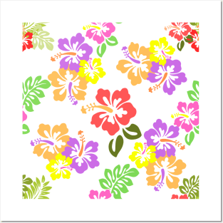 Colorful Hibiscus Flowers in White Posters and Art